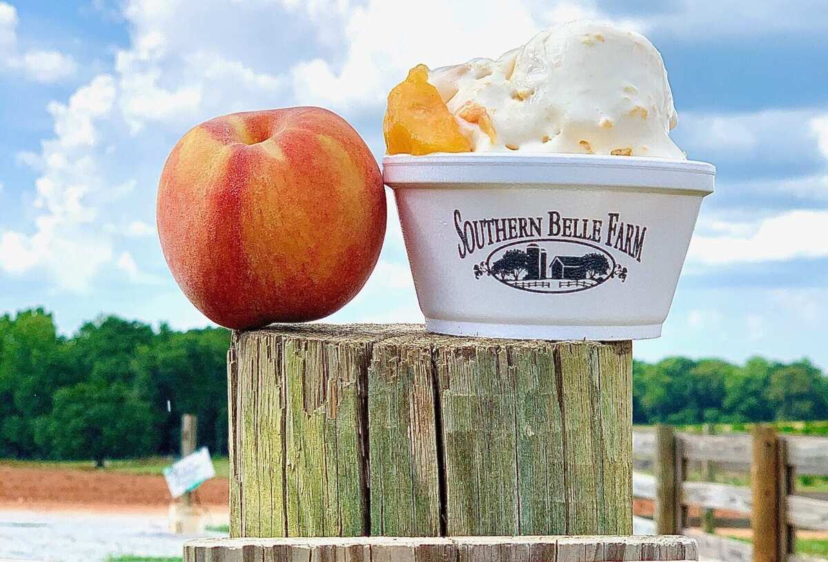 Family Fun Awaits: Apple Picking Adventures at Southern Belle Farm